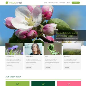 Wordpress Website Template